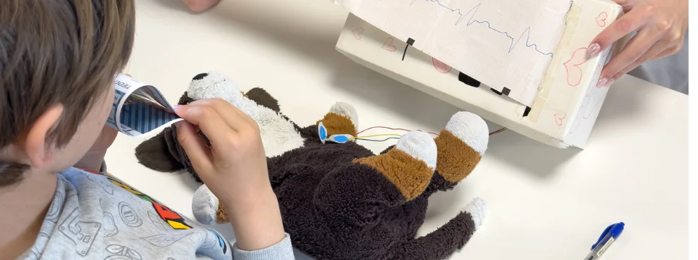 Man sieht einen Plüschhund am EKG
