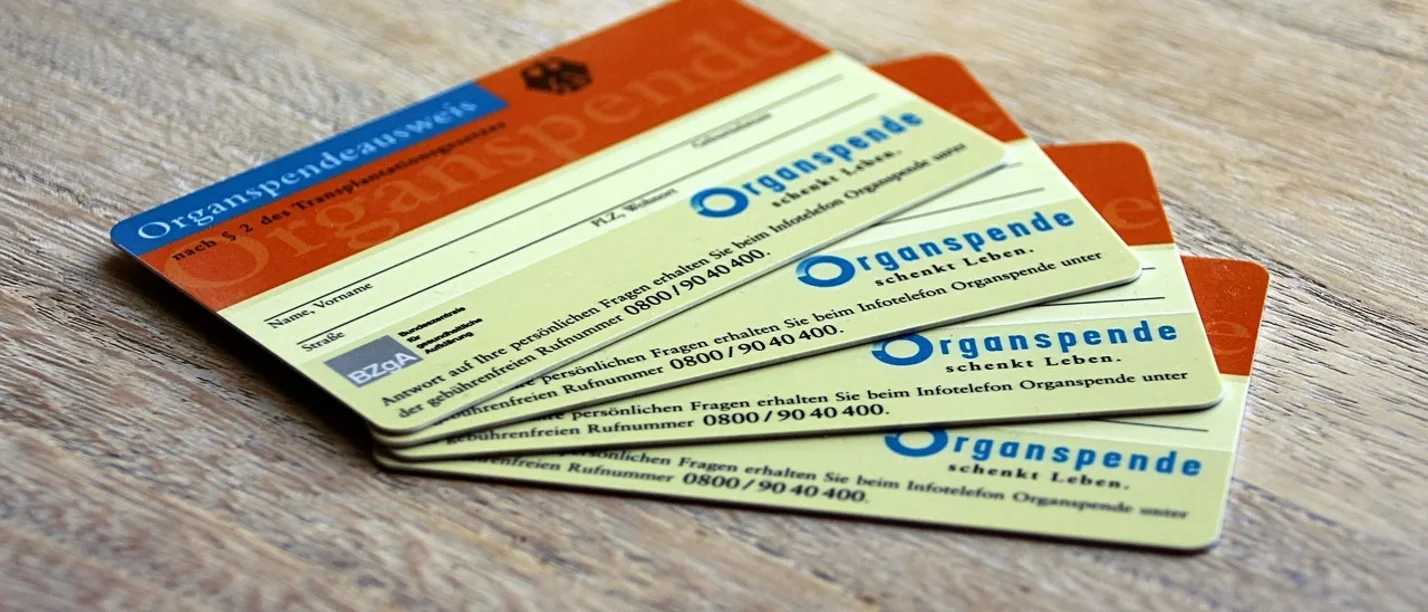 Auf einem Tisch liegen mehrere Organspendeausweise aufgefächert.