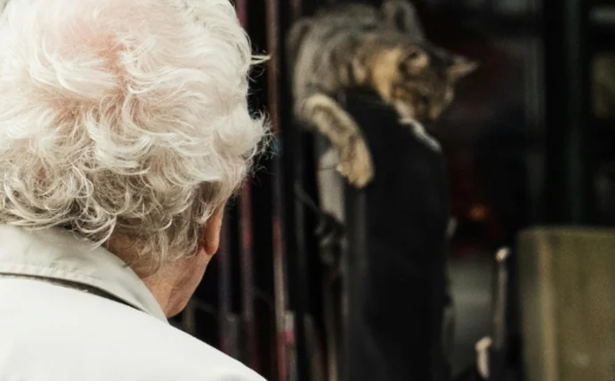 An elderly man stands with his back to the camera in front of a shop window with paintings.
