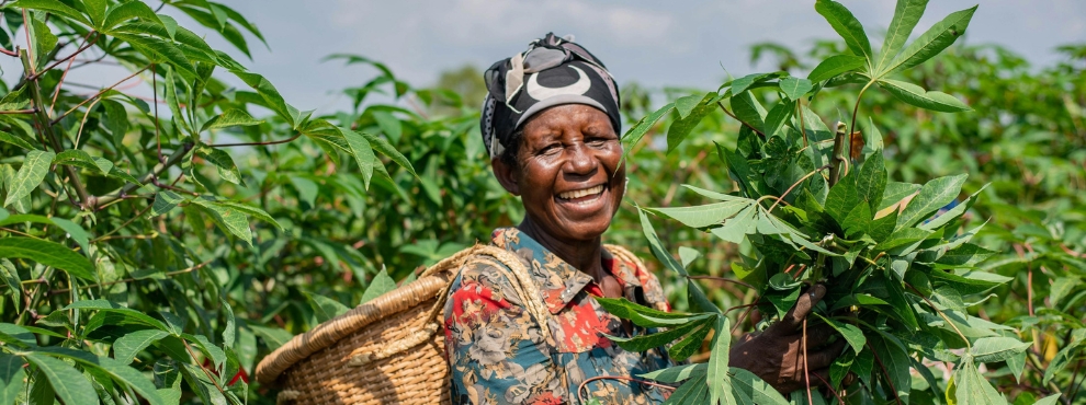 Working Paper Series No. 4, Gender Dynamics in Cassava Value Chains (Foto: pixels.com | Safari Consoler).