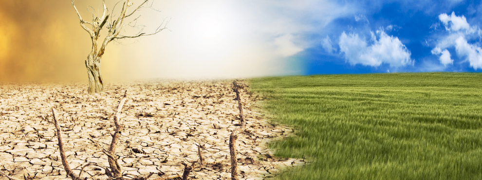 Prof. Dr. Jan-Christoph Heilinger spricht in der Wittener Bürgeruniversität über die Klimakrise. (Foto: Canva) Symbolbild Klimakrise